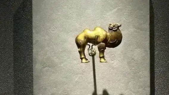 秦始皇陵博物館（兵馬俑）+大咖人工講解+耳機【5小時全景遊覽】