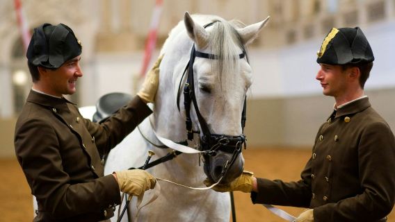 Horse Training at the Spanish Riding School