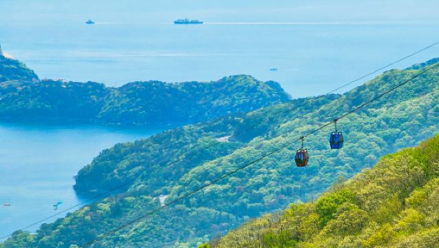 巨濟島纜車 X 外島 X 統營海岸遊覽船 *釜山出發*