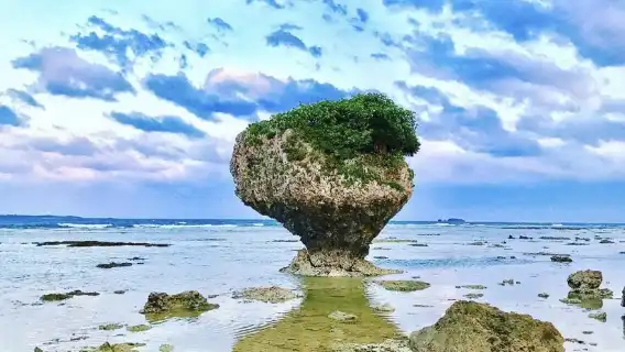 日本知念岬+沖繩世界文化王國+琉球玻璃村+波之上海灘一日遊