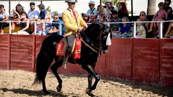 Fuengirola: Spanish Horse Show with Optional Dinner/Flamenco