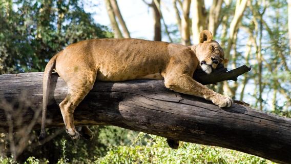 Nakuru