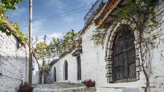 From Tirana: Berat UNESCO City and Belshi Lake Day Trip