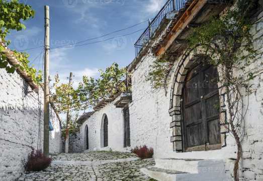 From Tirana: Berat UNESCO City and Belshi Lake Day Trip