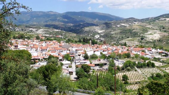 DEPUIS PAPHOS : Circuit aller-retour sur l'île (Lefkara, Nicosie, Larnaca)