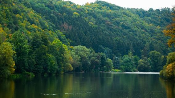 Recorrido en bicicleta por el campo desde Praga hasta el castillo de Karlstejn