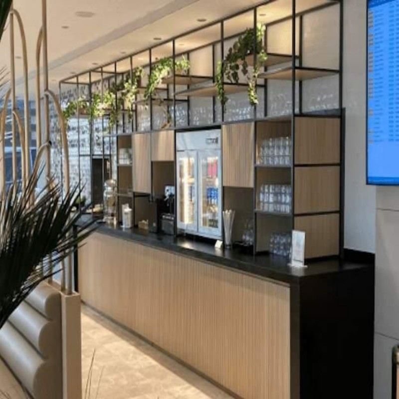 Esperienza nella lounge VIP dell'aeroporto di Istanbul, Turchia 78080