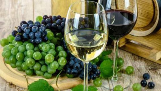 จากลิมา: ทริปหมู่เกาะบัลเลสตัส ฮัวกาชินา และไวน์