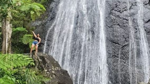 Depuis San Juan : visite de la forêt tropicale d'El Yunque et de la plage de Luquillo