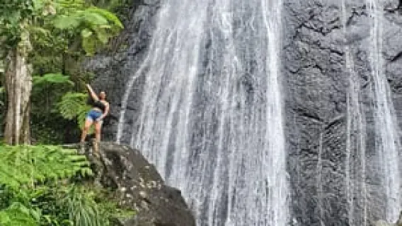 Desde San Juan: Tour a la selva tropical El Yunque y la playa de Luquillo