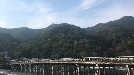 Kyoto: Arashiyama Bamboo Forest and Garden Views Tour