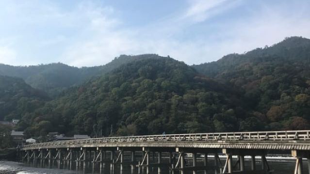 Киото: тур по бамбуковому лесу Арасияма и садам