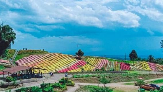 셔틀 및 뷔페 점심 식사가 제공되는 다바오 에덴 자연 공원