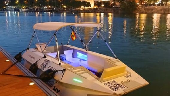 Sevilla desde el río: Paseo ecológico privado en barco taxi