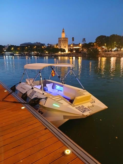 Siviglia dal fiume: giro privato in ECO, TAXI NAVE.
