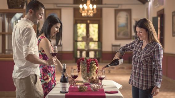 Gran Canaria: Winery Tour, Wine Museum, and Tasting