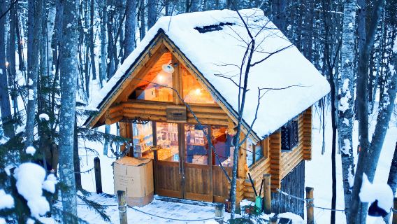 Hokkaido Asahiyama Zoo & Ningle Terrace & Shirogane Blue Pond (Aoiike) 1-day tour (Sapporo round-trip)