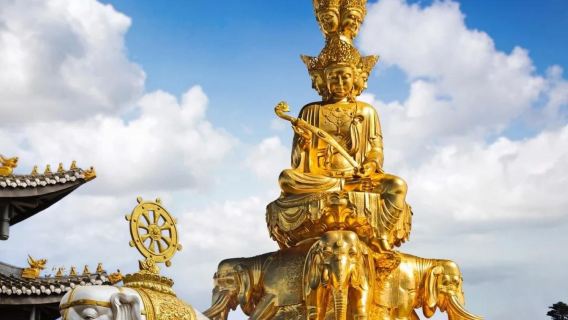 Private tour for 2–8 people | Mount Emei Golden Summit 1-day tour | Private car pickup · Optional Chinese and English-speaking guide
