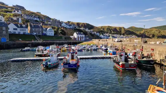 From Aberdeen: Coastal Villages of Aberdeenshire Tour