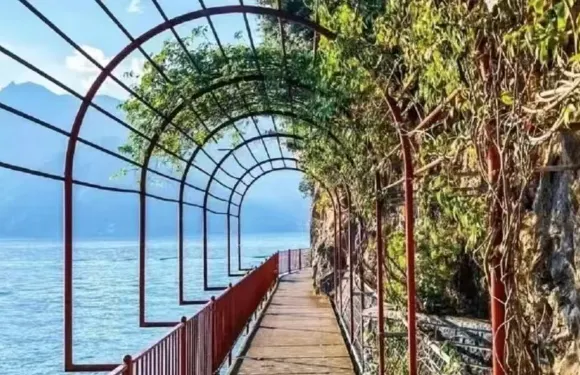 10小時包車經典連線：大教堂、科莫湖與科馬奇納島