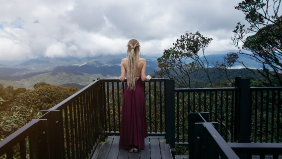 จากกัวลาลัมเปอร์: ป่ามอสส์คาเมรอนไฮแลนด์และไร่ชาบีโอเอช (แบบแชร์และแบบส่วนตัว)