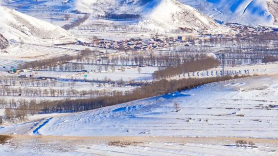 樺皮嶺應季徒步1日