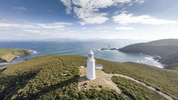 Tasmania Bruny Island + Lighthouse Day Tour [Gourmet + Sightseeing with Hobart Transfers]