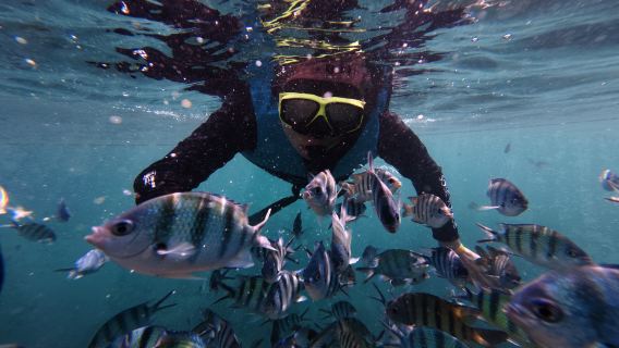 Phu Quoc: excursión en canoa por 3 islas – May Rut, Gam Ghi, isla Fingernail + almuerzo