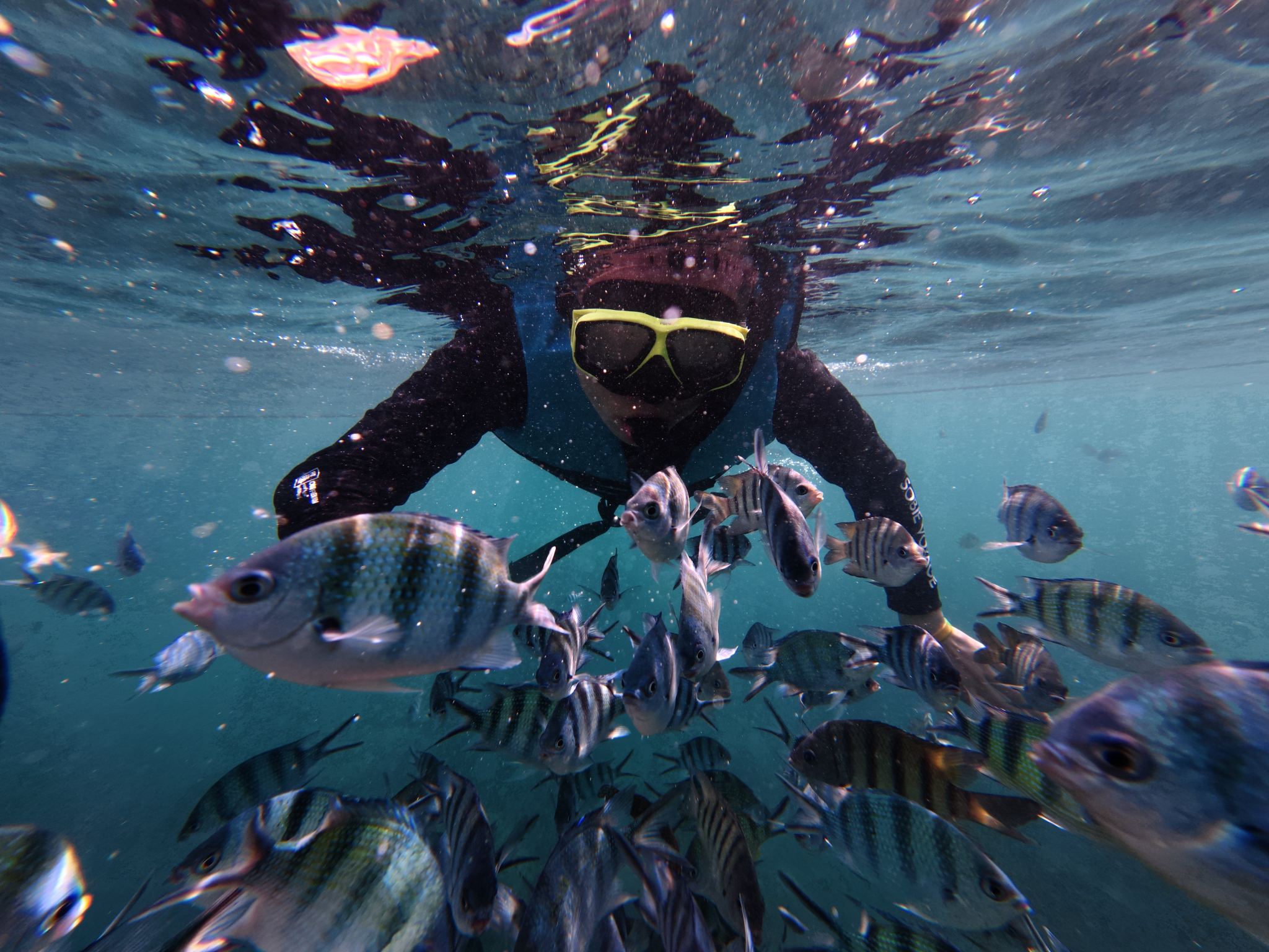 Phu Quoc: 3 Islands Cano Trip – May Rut, Gam Ghi, Fingernail Island + Lunch