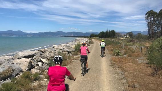 Nelson to Mapua: Full-Day Cycling Self-Guided Adventure