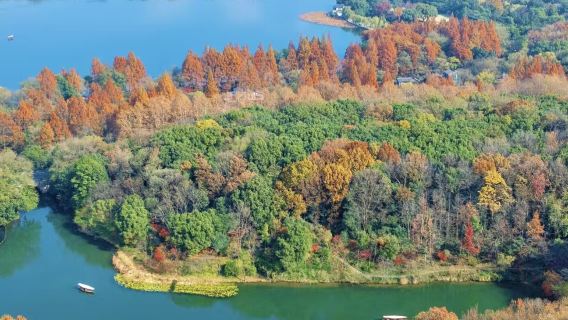 杭州幽賞西湖一日遊【打卡西湖十景+非遺體驗+文化老師精講】
