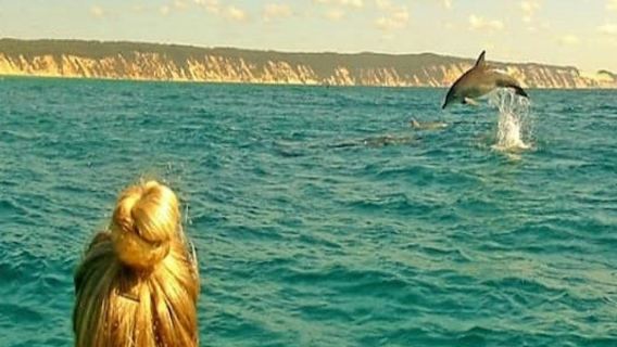 Noosa: Day Tour with Dolphin View, Sea Kayak & Beach 4x4 Adventure