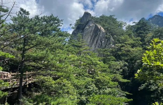 湖北黃岡羅田天堂寨風景區+猴谷+大別山包車一日遊可中英文服務