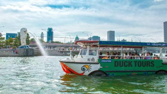 Private Chartered 1-Day Tour from Sentosa Singapore: Duck Boat, Merlion Park, and Gardens by the Bay