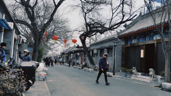 Excursion d'une demi-journée au temple des Lamas (Temple de Yonghe), au Collège impérial et dans les hutongs de Pékin