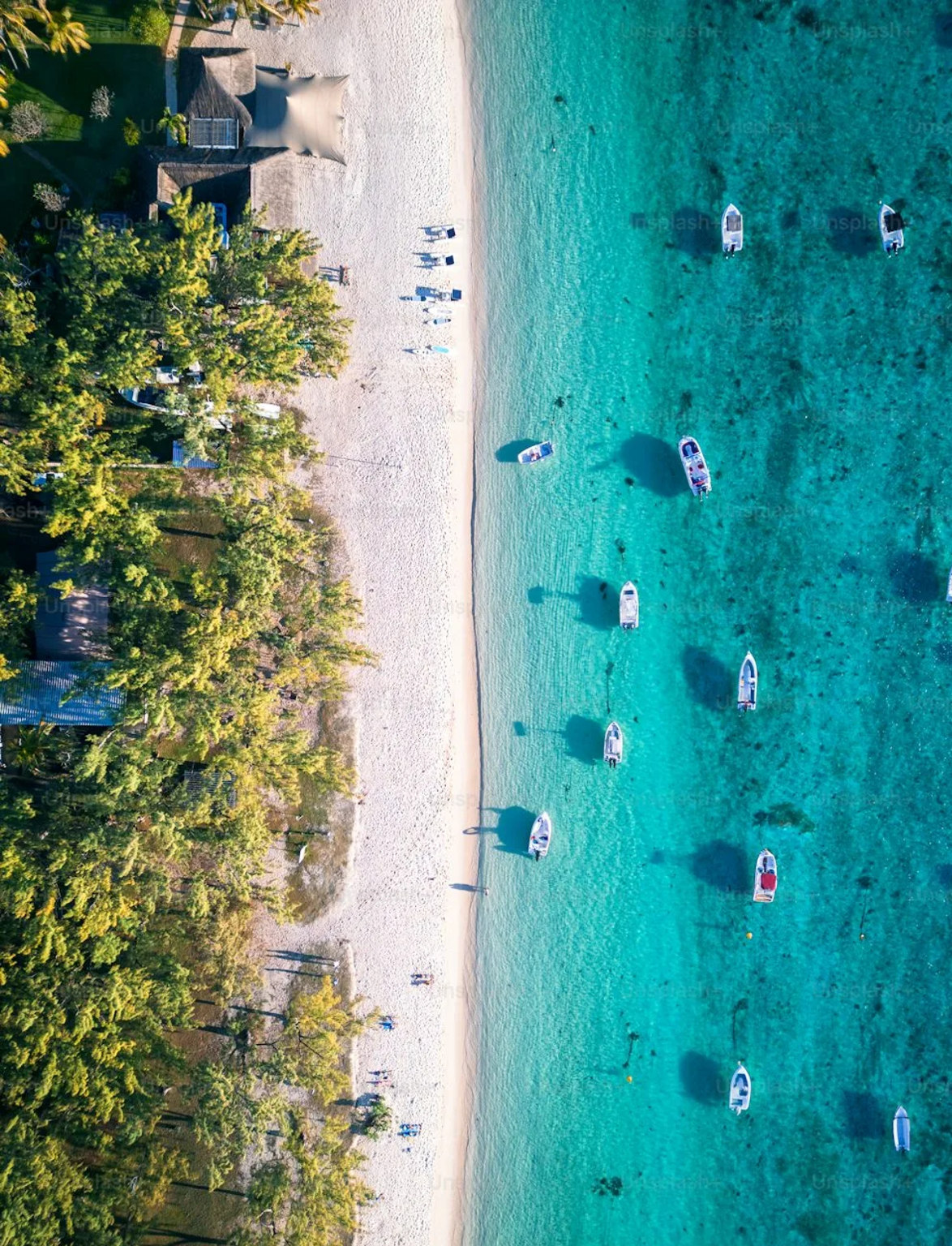 毛里求斯境內/中文導遊/地陪嚮導/商務翻譯/溝通無障礙