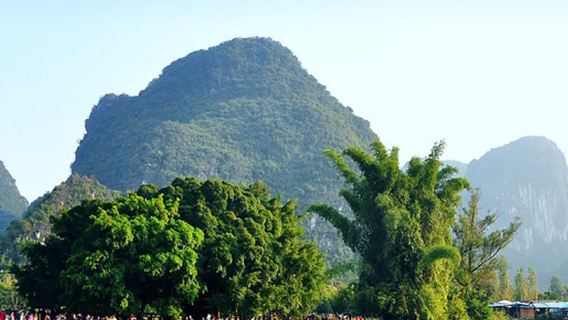 桂林陽朔遇龍河1日遊大榕樹銀子岩世外桃源千里江山千古情純玩遊