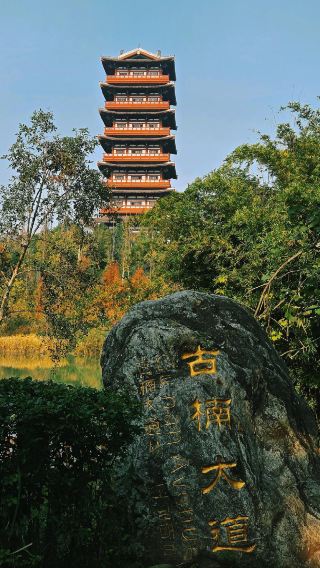One-day tour with English service to Sacred Lotus Island, Song Porcelain Museum, Hometown of Guanyin, and Town of Long Feng in Suining, Sichuan