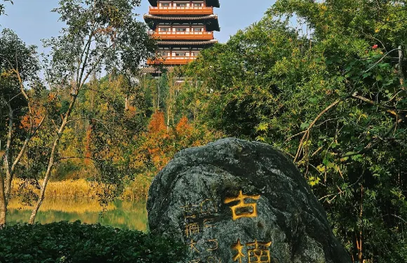 四川遂寧聖蓮島+宋瓷博物館+觀音故里+龍鳳古鎮一日遊英文服務
