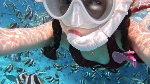 三亞海棠灣體驗潛水浮潛3小時【海棠灣後海浮潛+帆船滑梯+魔毯+提供裝備+航拍玻璃船+送浮潛拍攝】