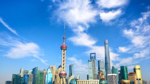 終日観光ー名物グルメ＋東方明珠塔＋豫園＋田子坊＋観光トンネル