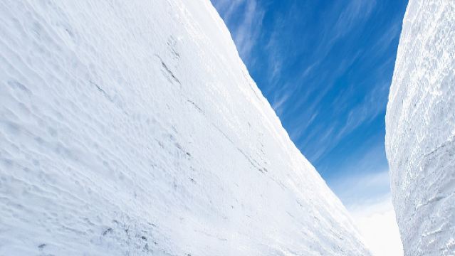 [Ab Nagoya] Frühlingsangebot: Schneewand-Wanderung in der Tateyama-Kurobe-Alpen · Murodo-Hochebene
