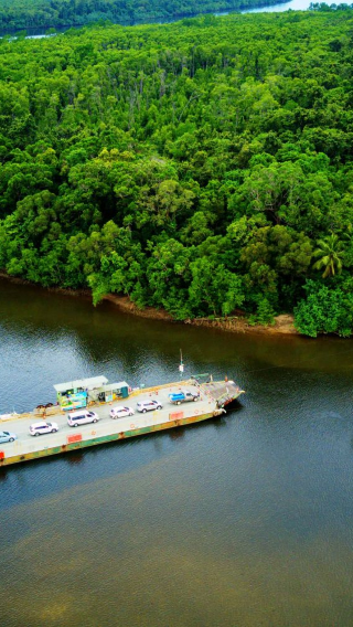 1-day tour to Mossman Gorge Cultural Centre, Daintree Rainforest and Cape Tribulation with crocodile cruise (English in-depth tour)