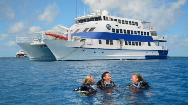 Excursion d'une journée à Cairns pour faire du snorkeling sur la Grande barrière de corail avec AquaQuest, 2 sites de plongée