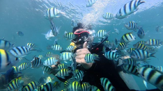 Esperienza di immersione subacquea/fotografia subacquea di 2 ore presso il Club Xiahuahaiyu a Sanya