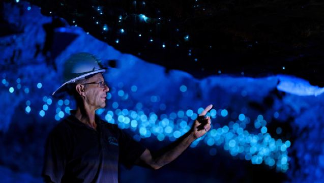 Excursion en groupe dans les grottes aux vers luisants de Waitomo en Nouvelle-Zélande | Transfert aller-retour depuis Auckland