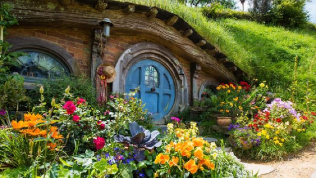 紐西蘭奧克蘭來回：霍比特村+藍泉+漢密爾頓 中文包車行程可調