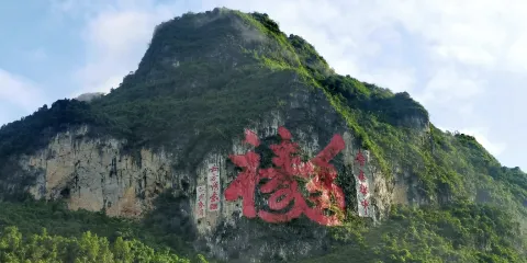 百色-巴馬百鳥巖+百魔洞+長壽村一日遊【不含門票】