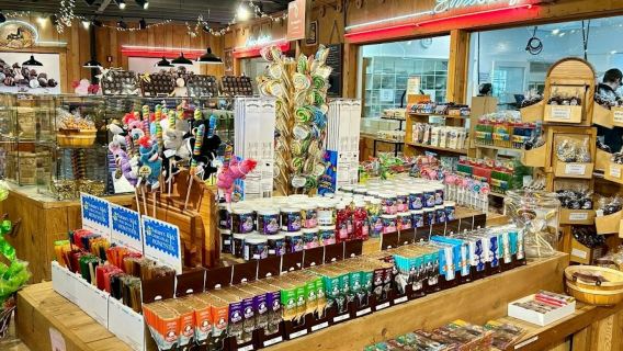 Anchorage: Lawatan Bandar Berpandu dengan Pencicipan Kilang Coklat