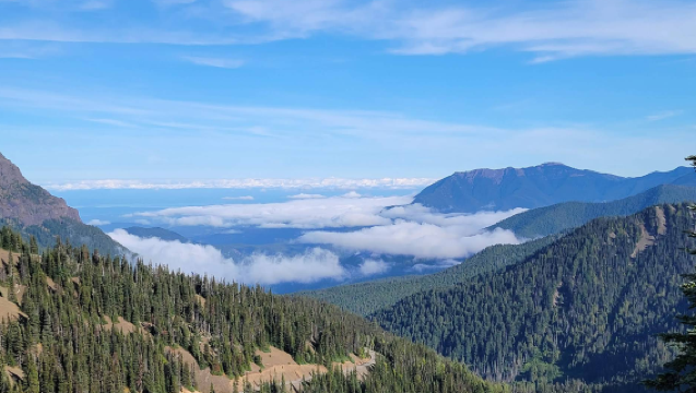 美國西雅圖-奧林匹克公園-新月湖- 颶風嶺【中文包車自由行】